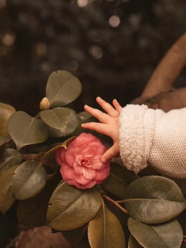Découvrir le monde du bout des petits doigts 🌸